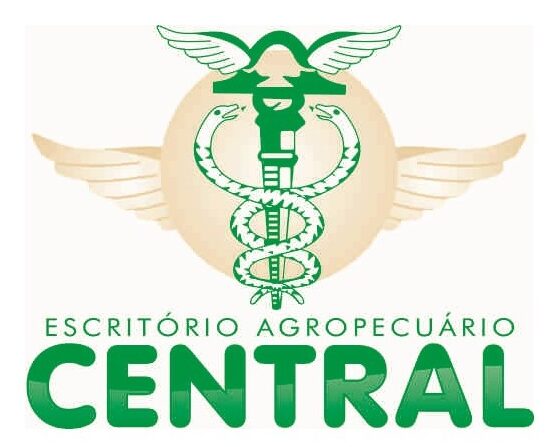 cropped Logo Escritorio Central oficial 1