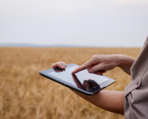 Financiamento do Agronegócio Entra em Nova Fase no Brasil